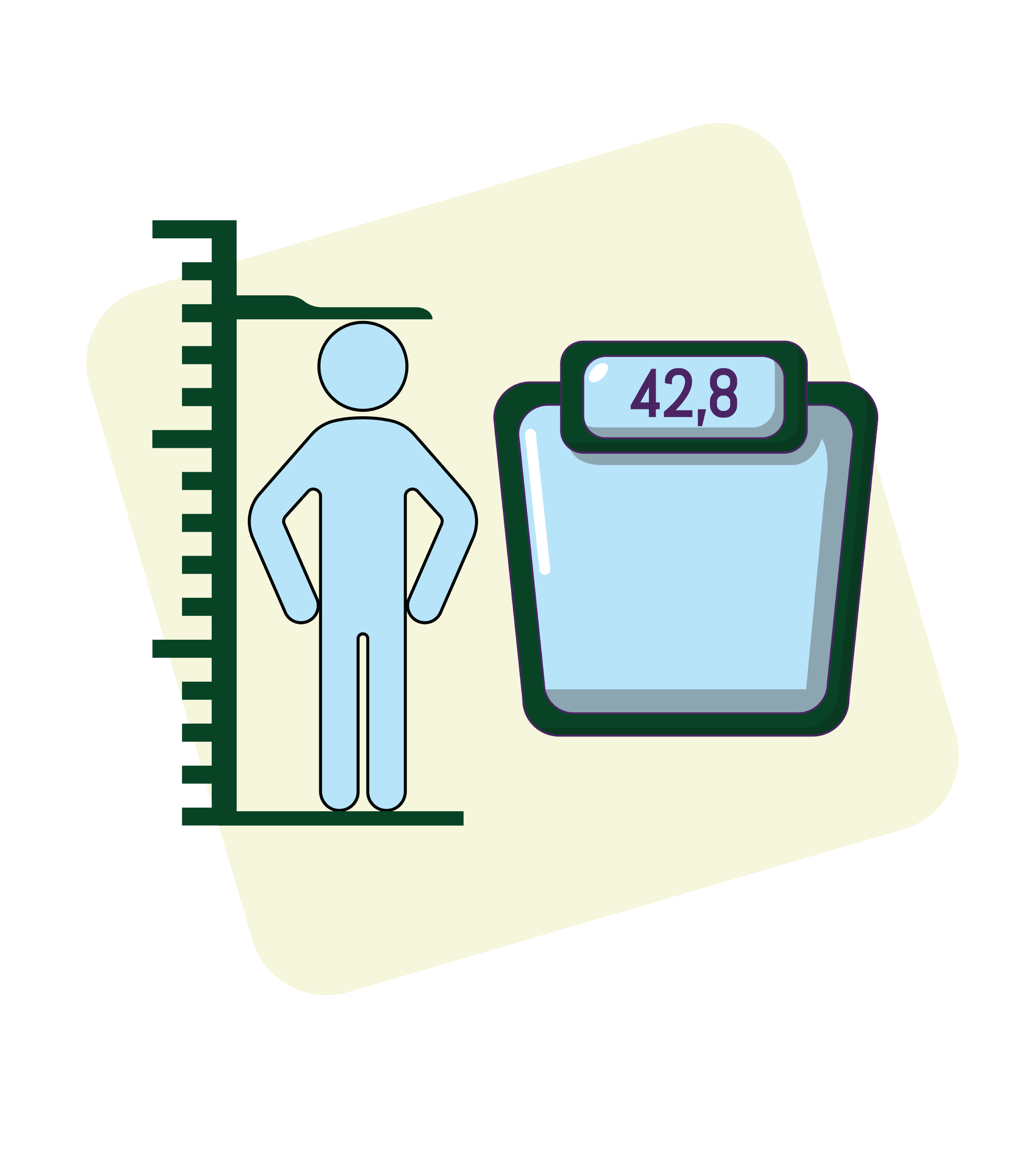 Anthropometric assessment*